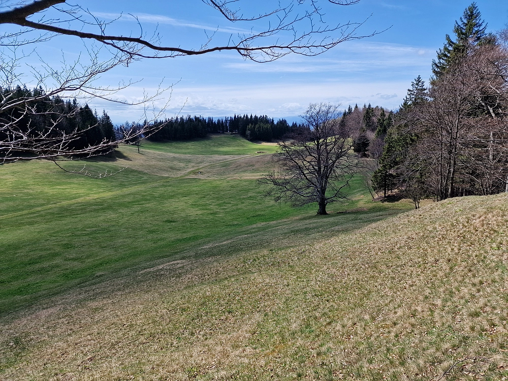Slika je vidna v Google Chromu.