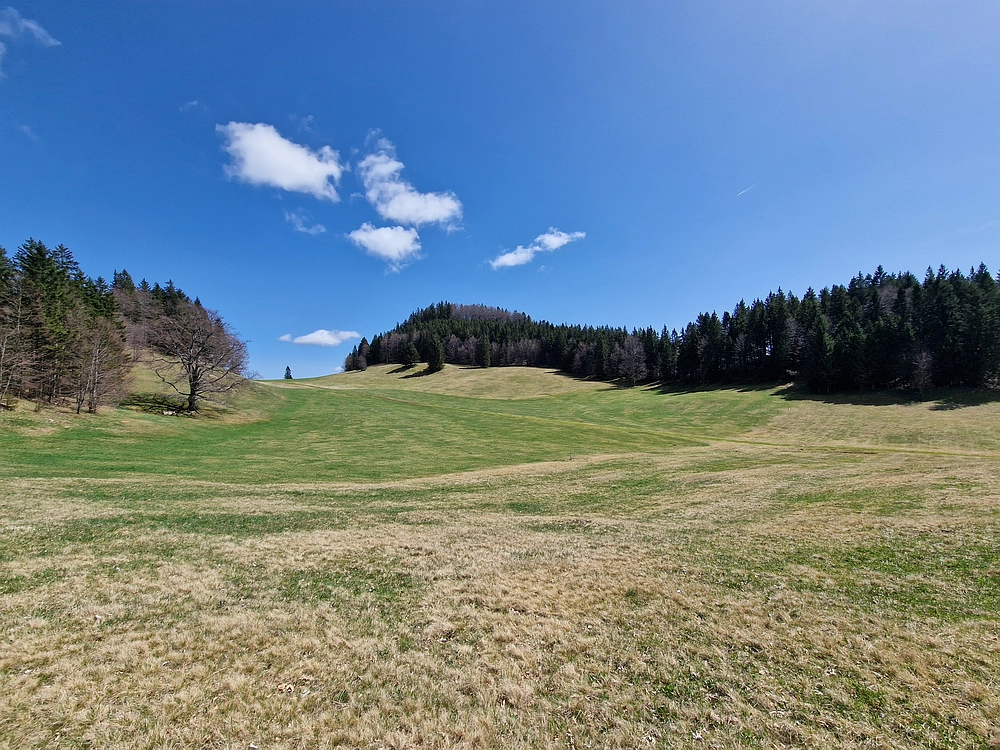 Slika je vidna v Google Chromu.