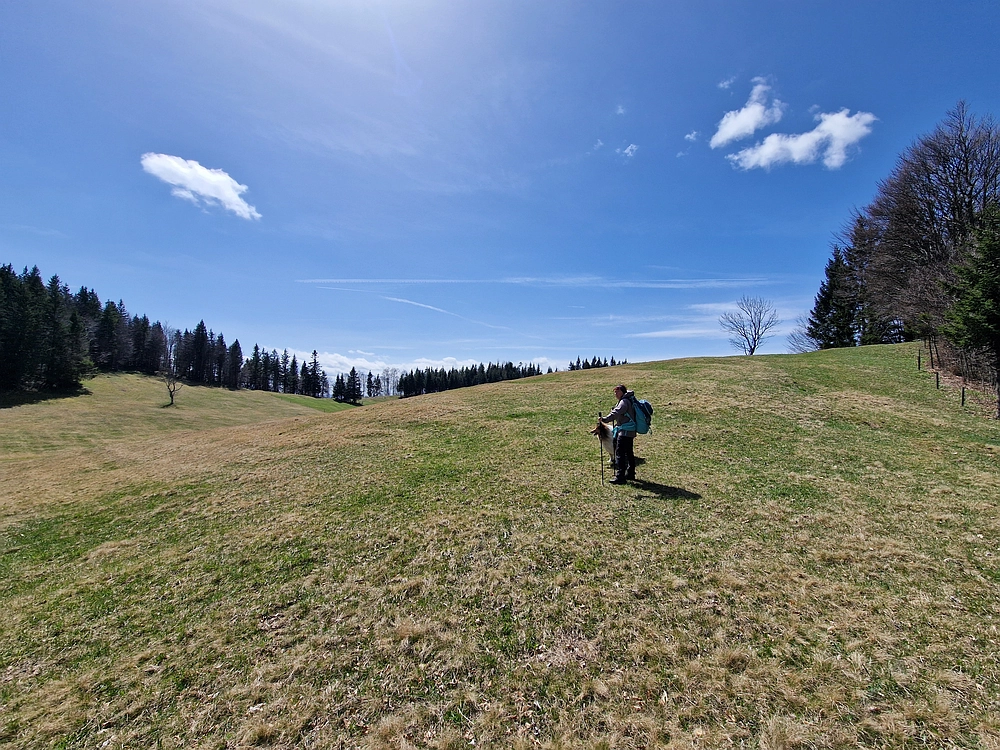 Slika je vidna v Google Chromu.