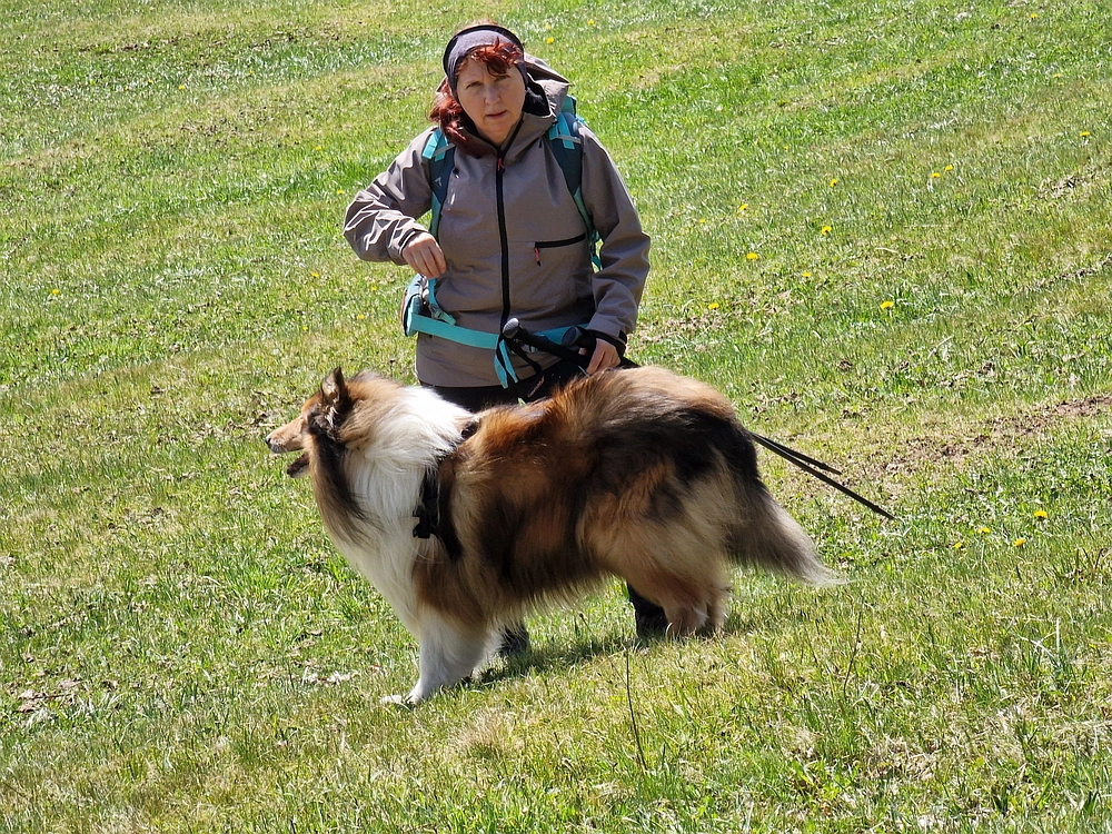 Slika je vidna v Google Chromu.