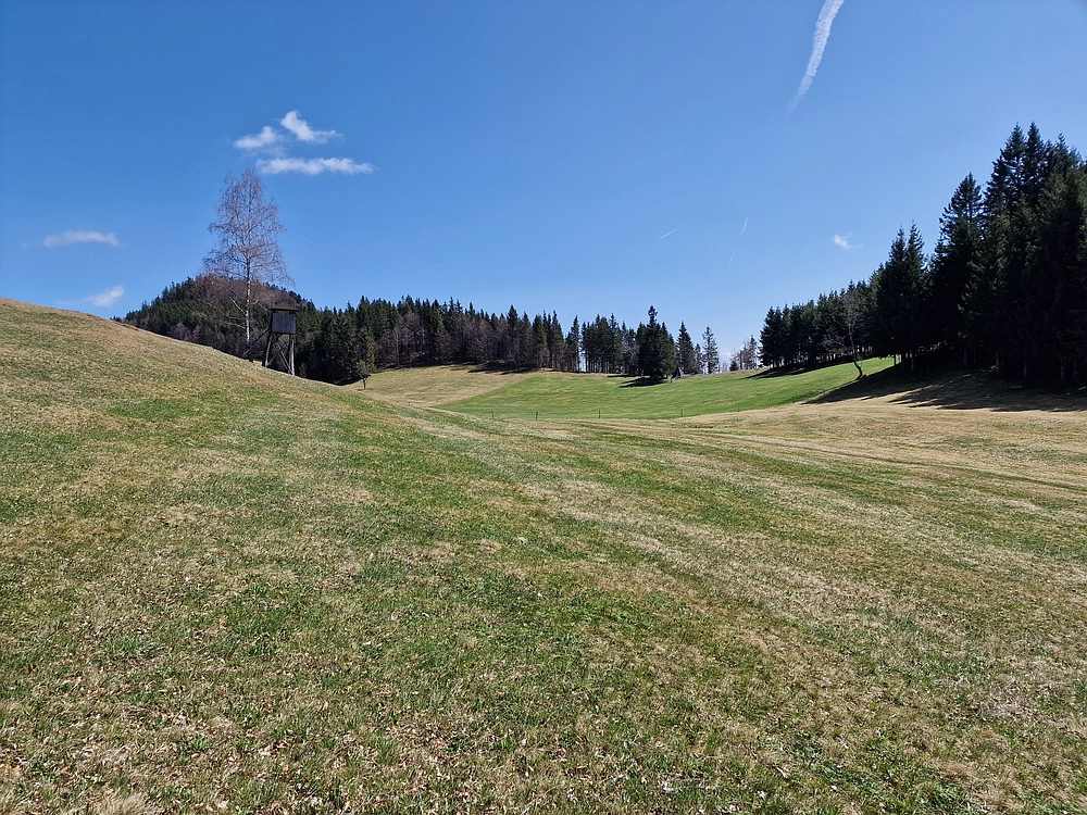 Slika je vidna v Google Chromu.