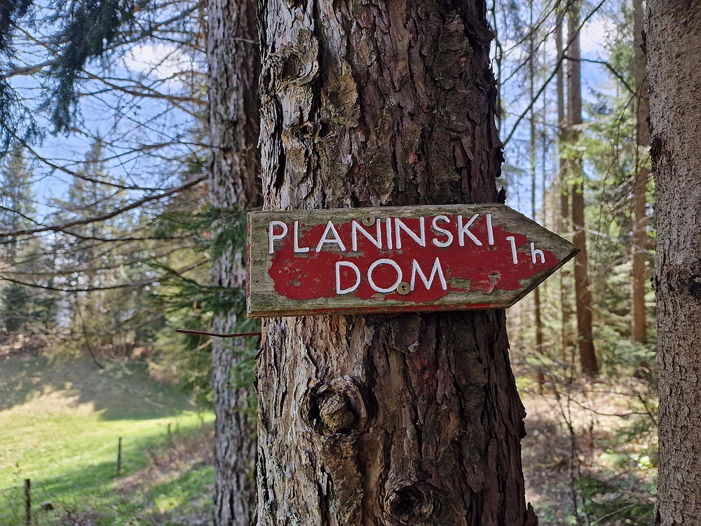 Slika je vidna v Google Chromu.