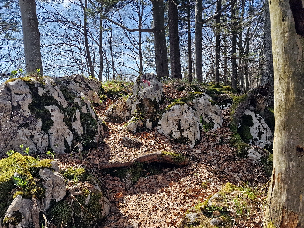 Slika je vidna v Google Chromu.