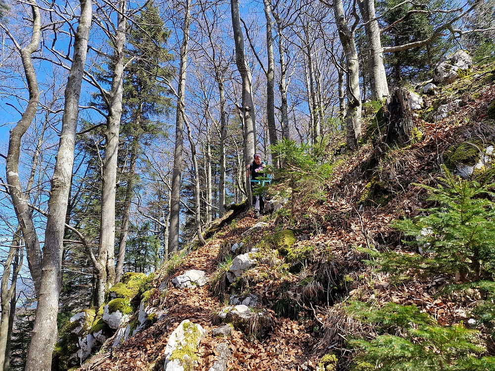 Slika je vidna v Google Chromu.