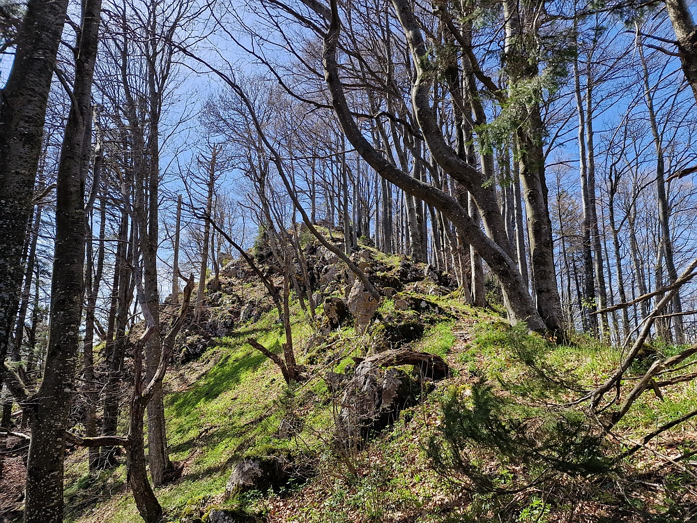 Slika je vidna v Google Chromu.
