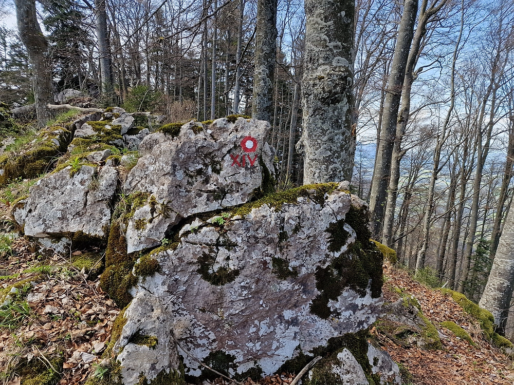 Slika je vidna v Google Chromu.