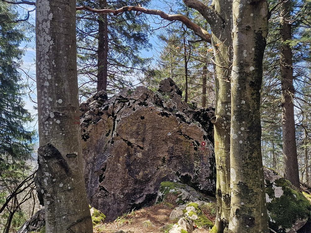 Slika je vidna v Google Chromu.