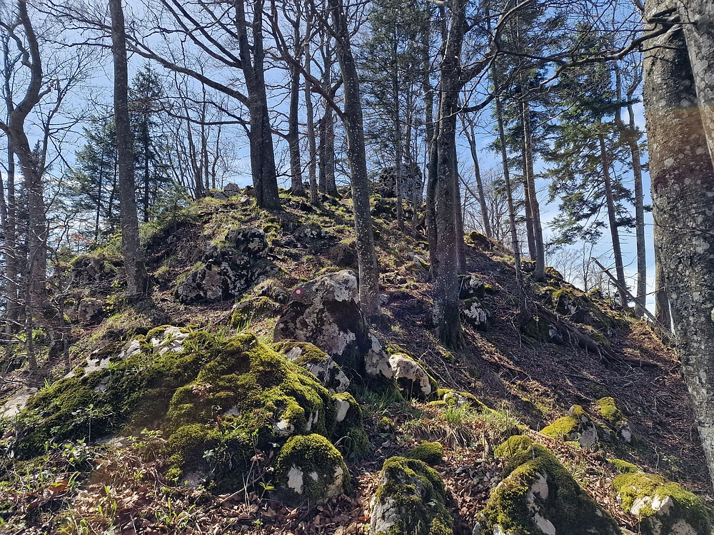 Slika je vidna v Google Chromu.