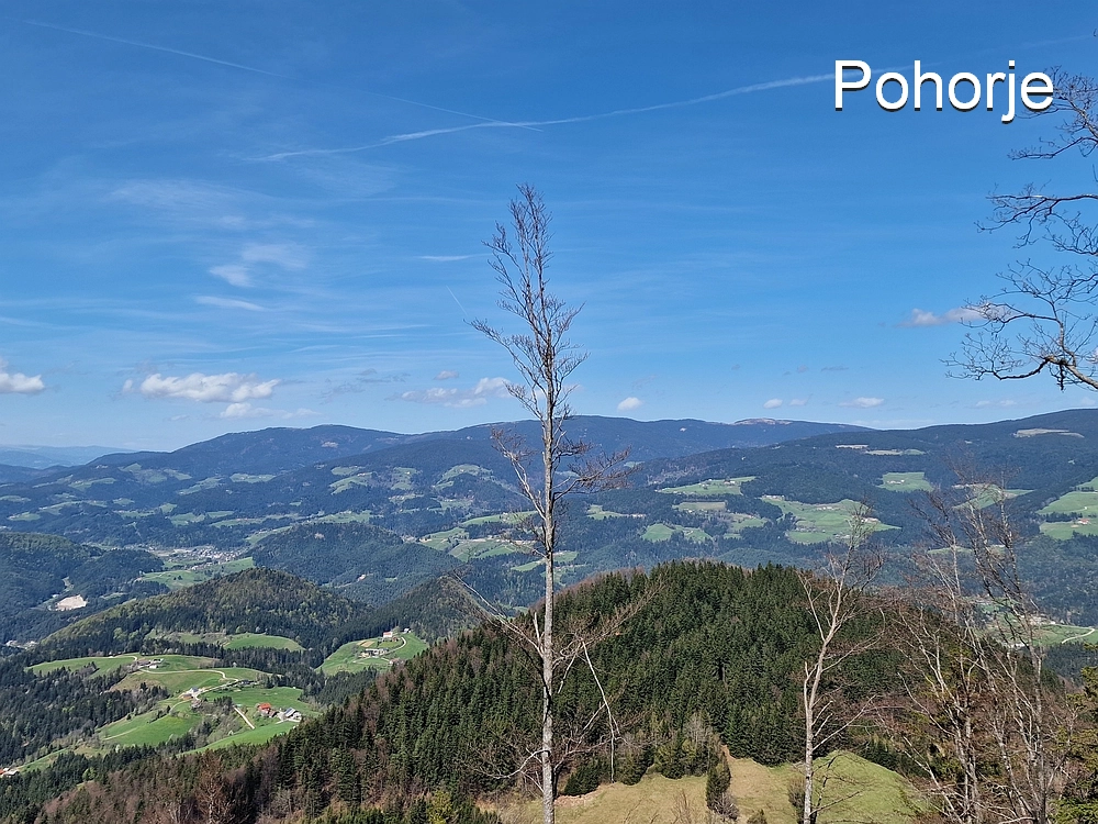 Slika je vidna v Google Chromu.