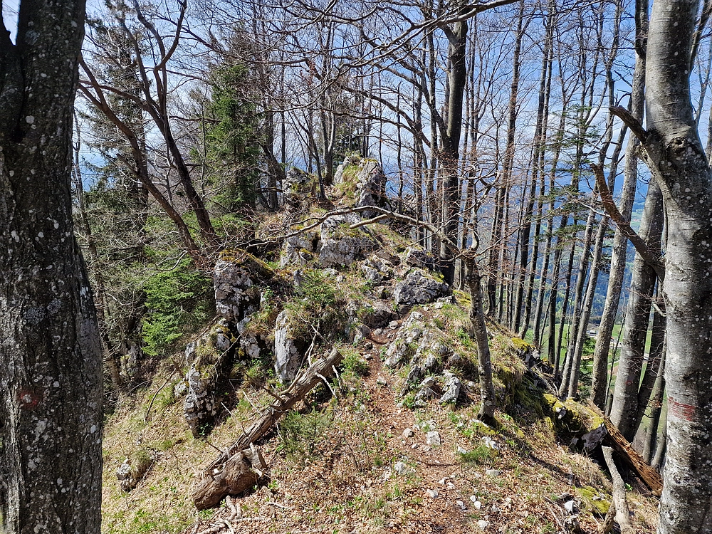 Slika je vidna v Google Chromu.