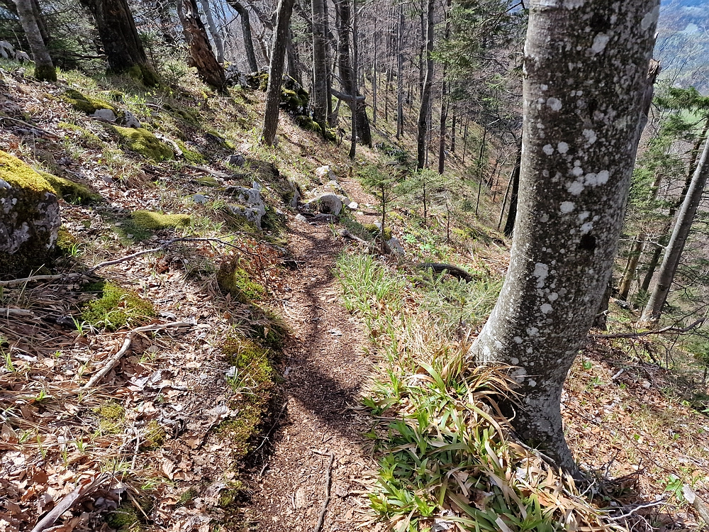 Slika je vidna v Google Chromu.