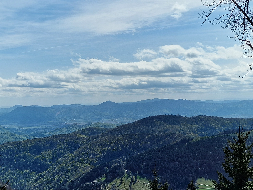 Slika je vidna v Google Chromu.
