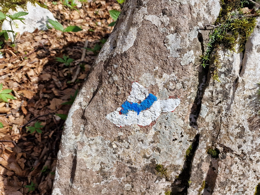 Slika je vidna v Google Chromu.