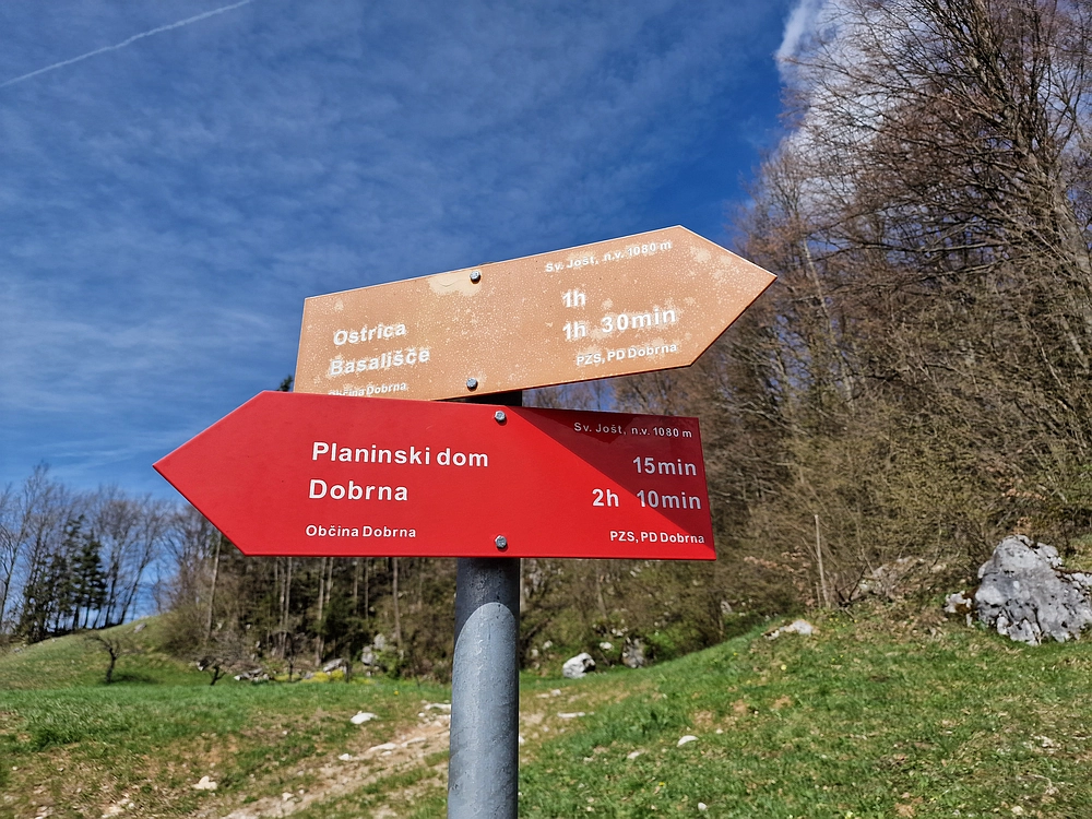 Slika je vidna v Google Chromu.