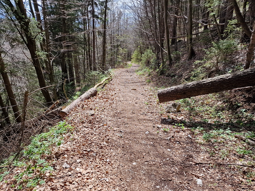 Slika je vidna v Google Chromu.