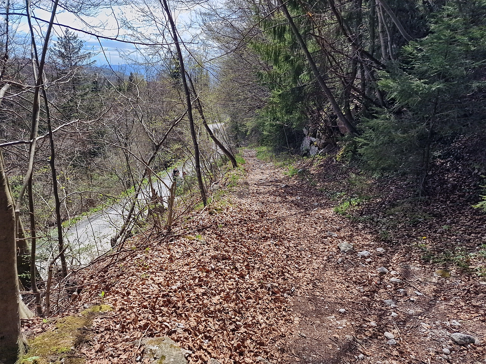 Slika je vidna v Google Chromu.