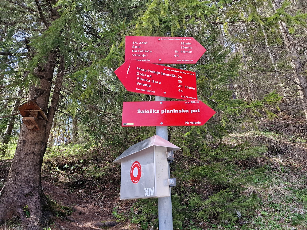 Slika je vidna v Google Chromu.