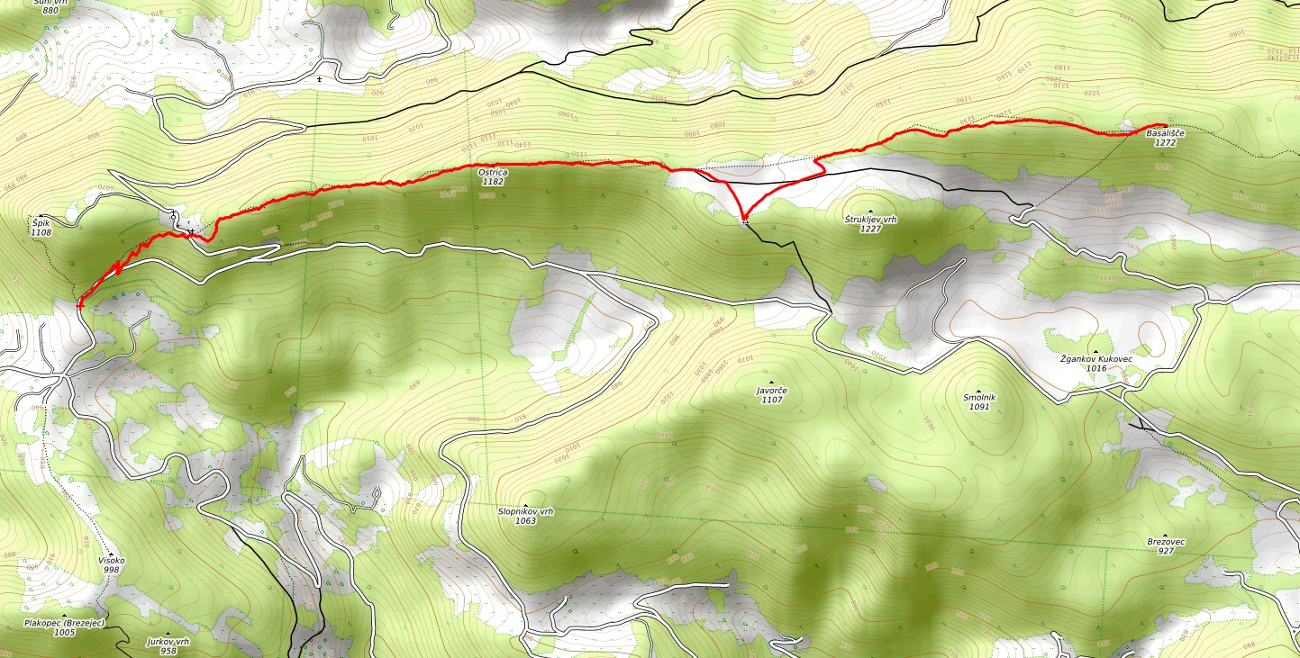 Slika je vidna v Google Chromu.