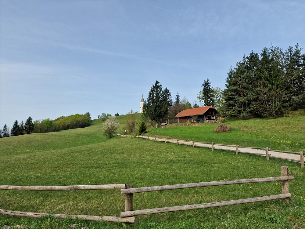 Slika je vidna v Google Chromu.