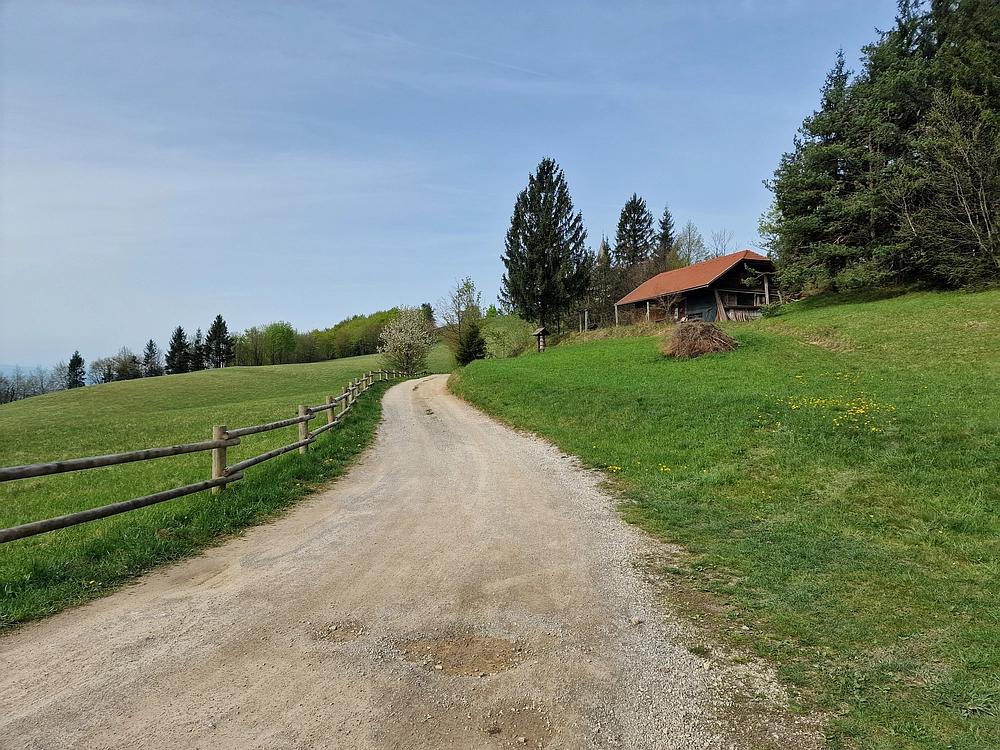 Slika je vidna v Google Chromu.