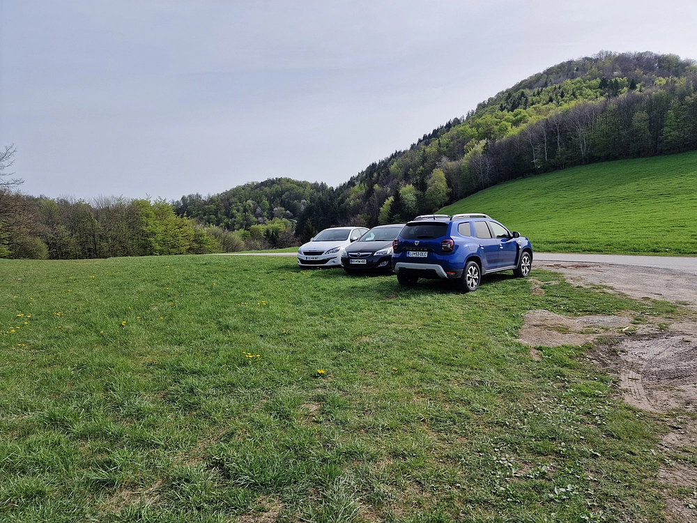 Slika je vidna v Google Chromu.