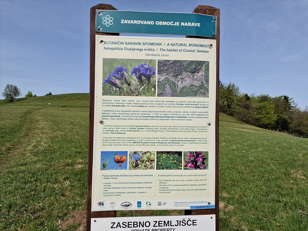 Slika je vidna v Google Chromu.