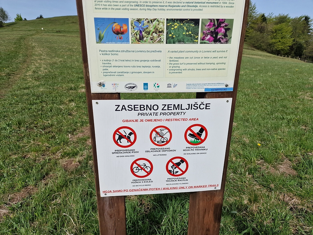 Slika je vidna v Google Chromu.