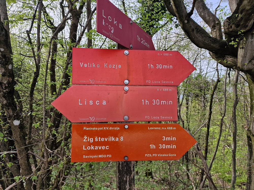 Slika je vidna v Google Chromu.