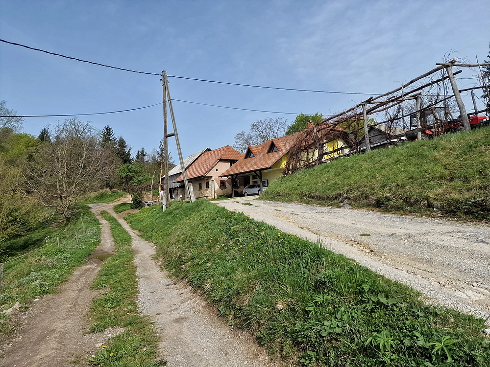 Slika je vidna v Google Chromu.