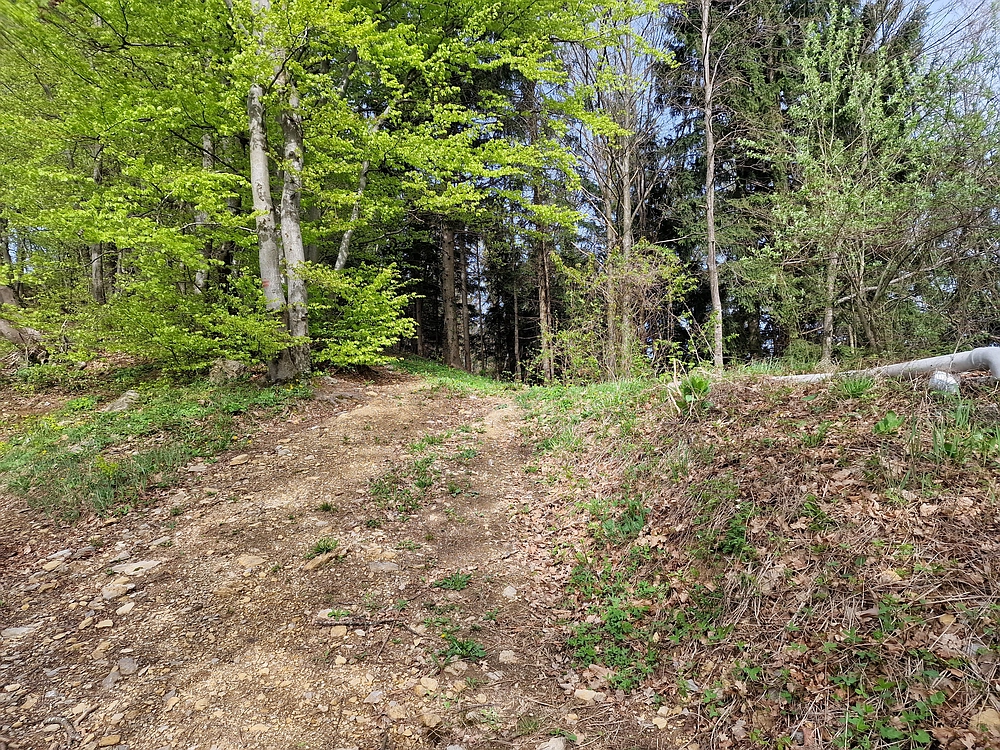 Slika je vidna v Google Chromu.