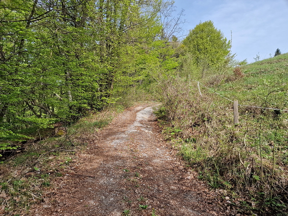 Slika je vidna v Google Chromu.