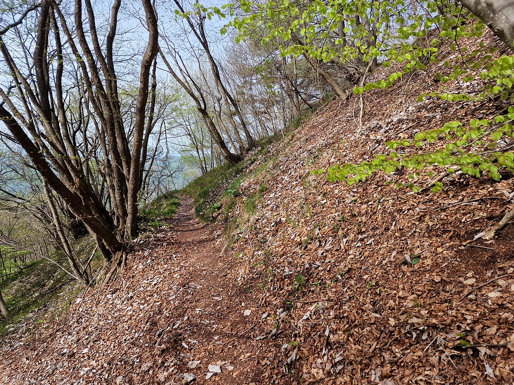 Slika je vidna v Google Chromu.