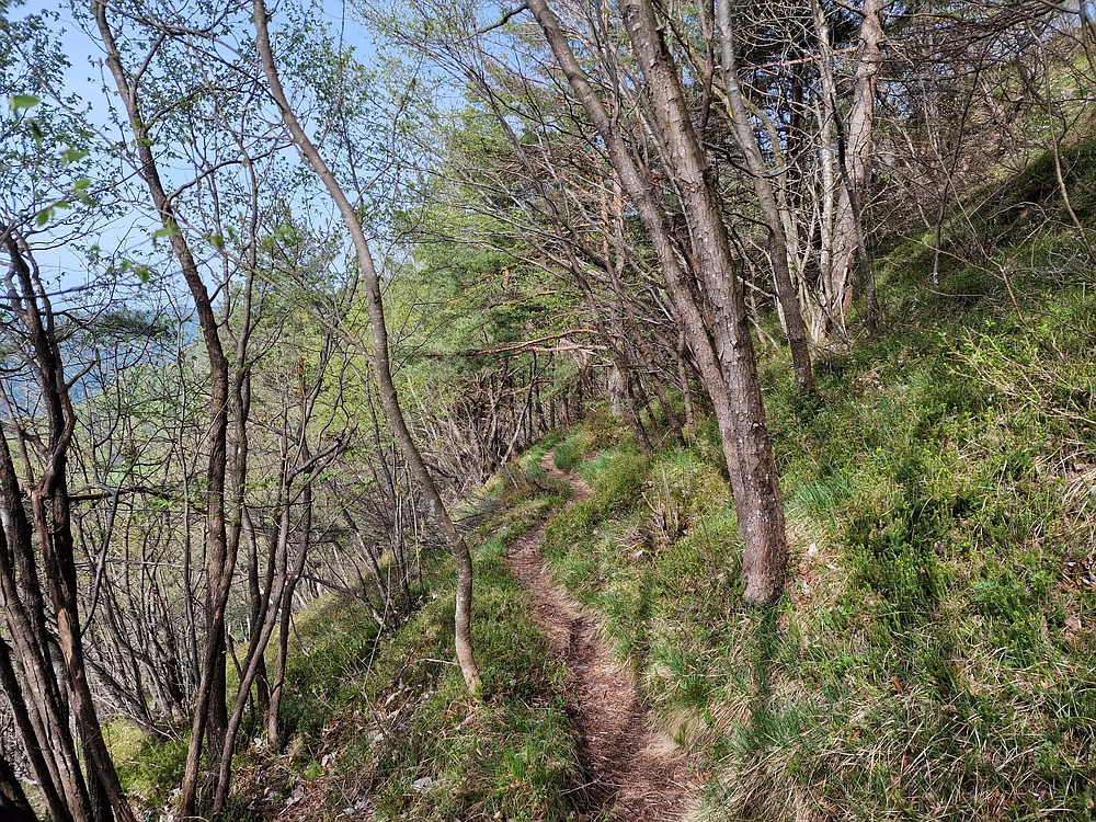 Slika je vidna v Google Chromu.