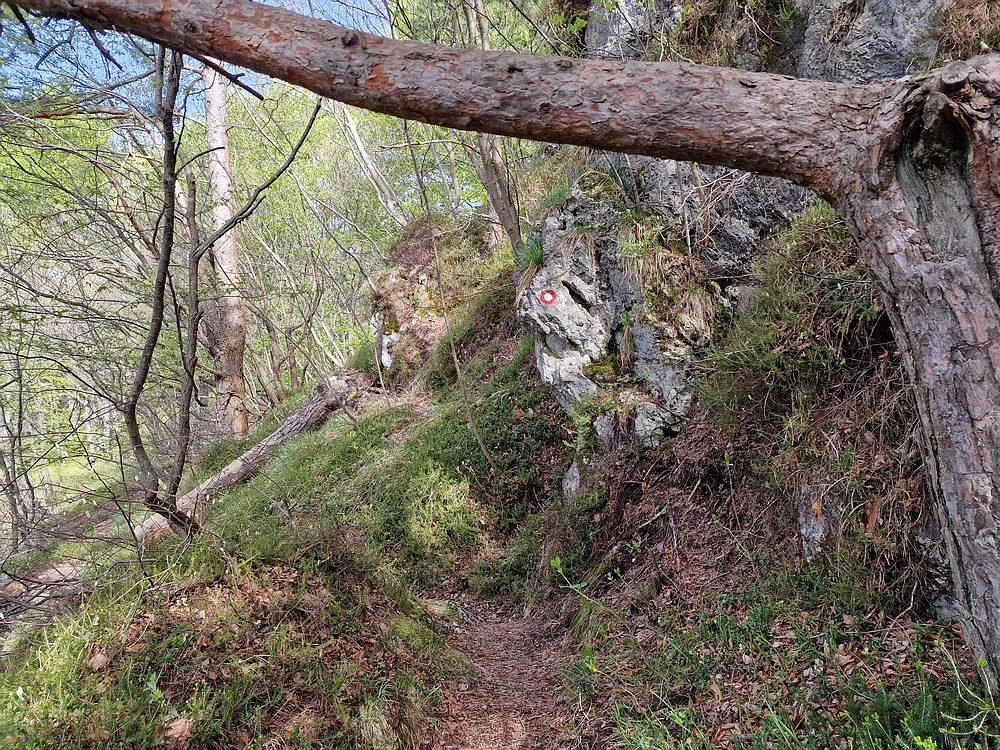 Slika je vidna v Google Chromu.