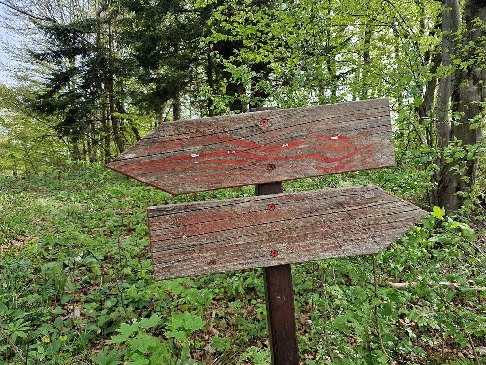 Slika je vidna v Google Chromu.