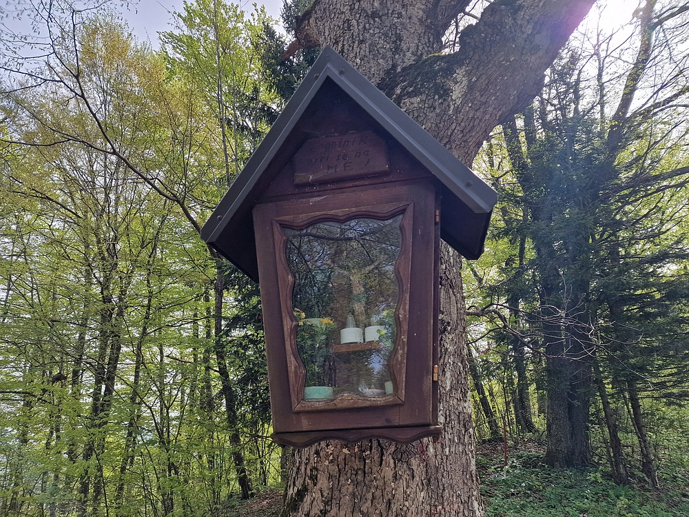 Slika je vidna v Google Chromu.