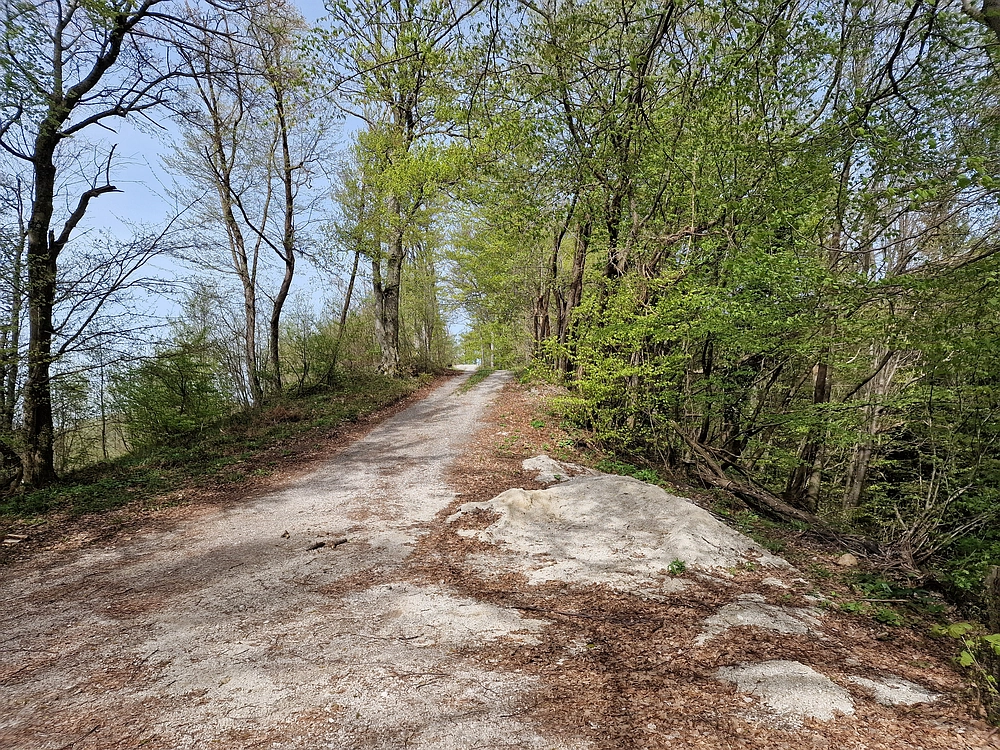 Slika je vidna v Google Chromu.