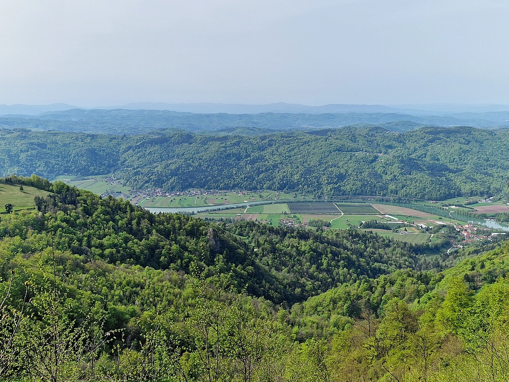 Slika je vidna v Google Chromu.