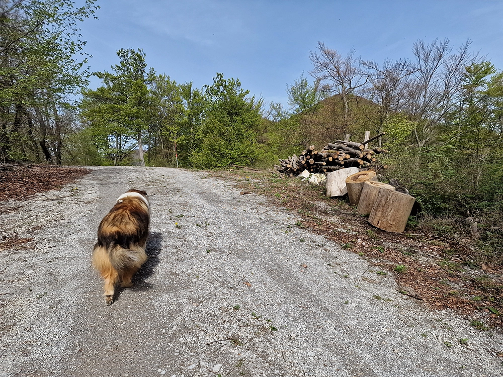 Slika je vidna v Google Chromu.
