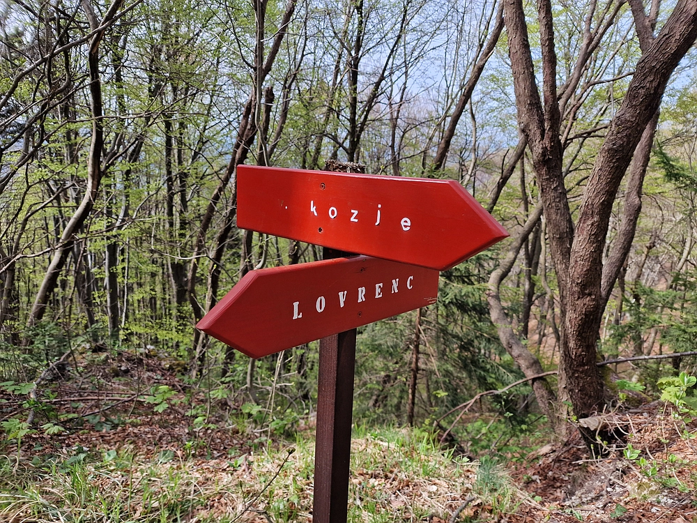 Slika je vidna v Google Chromu.