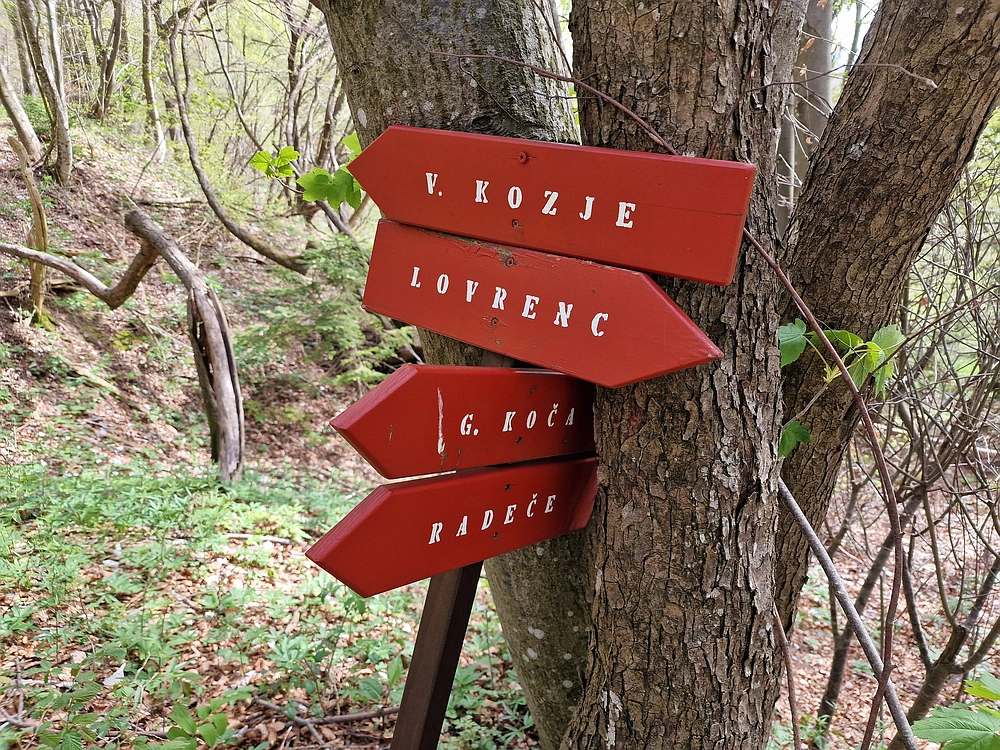 Slika je vidna v Google Chromu.