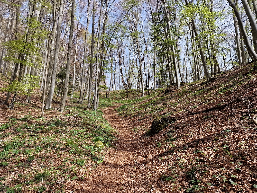 Slika je vidna v Google Chromu.