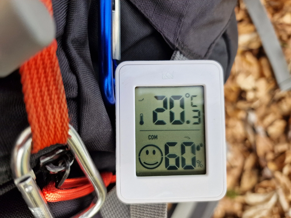 Slika je vidna v Google Chromu.