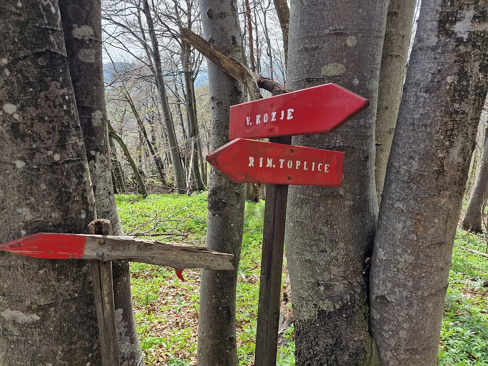 Slika je vidna v Google Chromu.