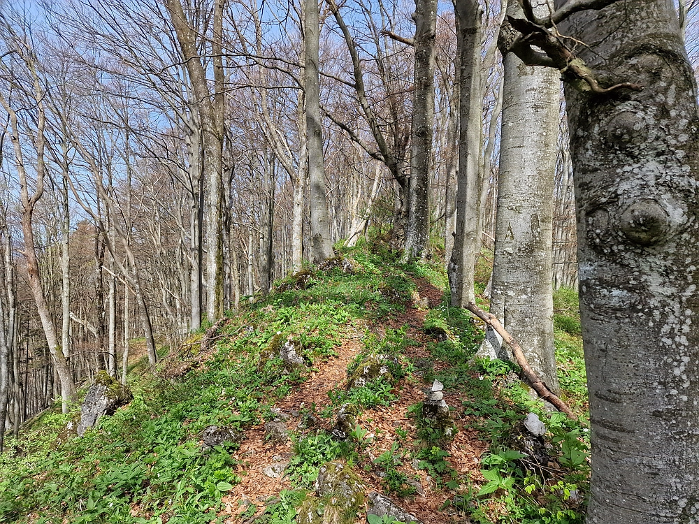 Slika je vidna v Google Chromu.