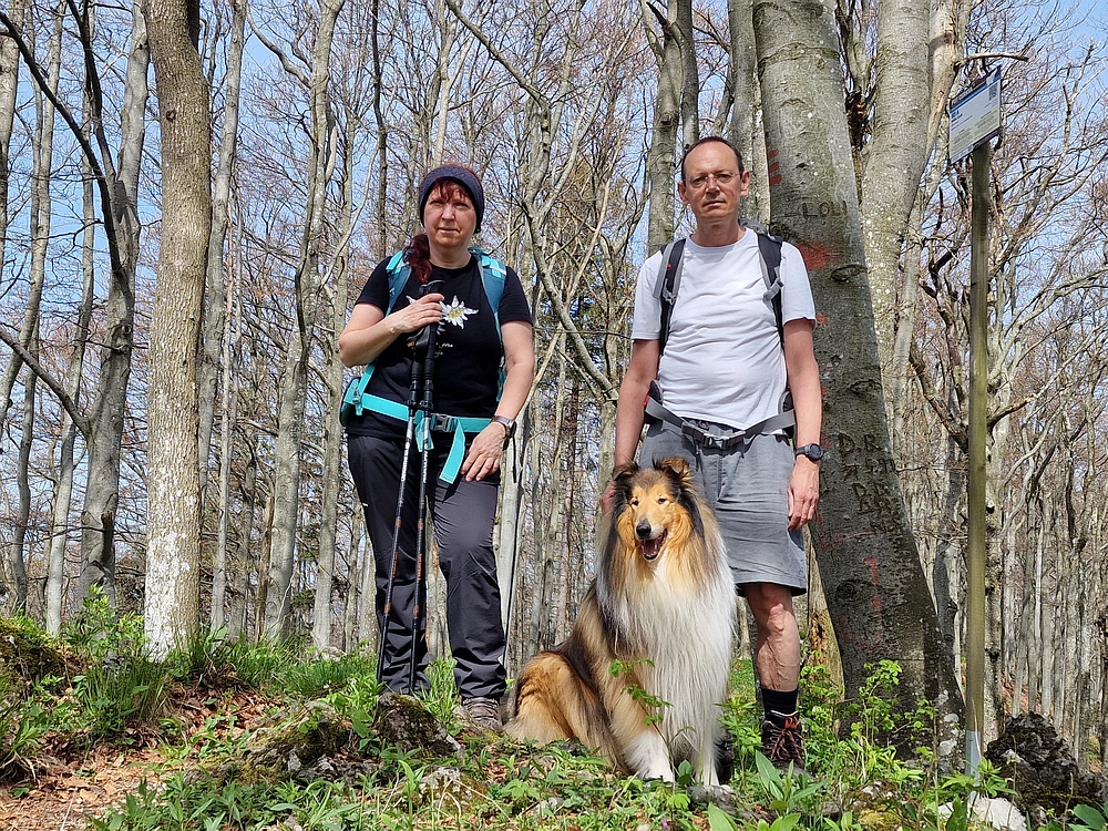 Slika je vidna v Google Chromu.