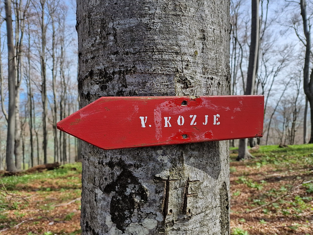 Slika je vidna v Google Chromu.