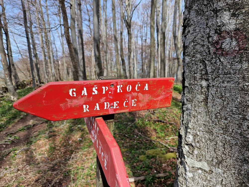 Slika je vidna v Google Chromu.