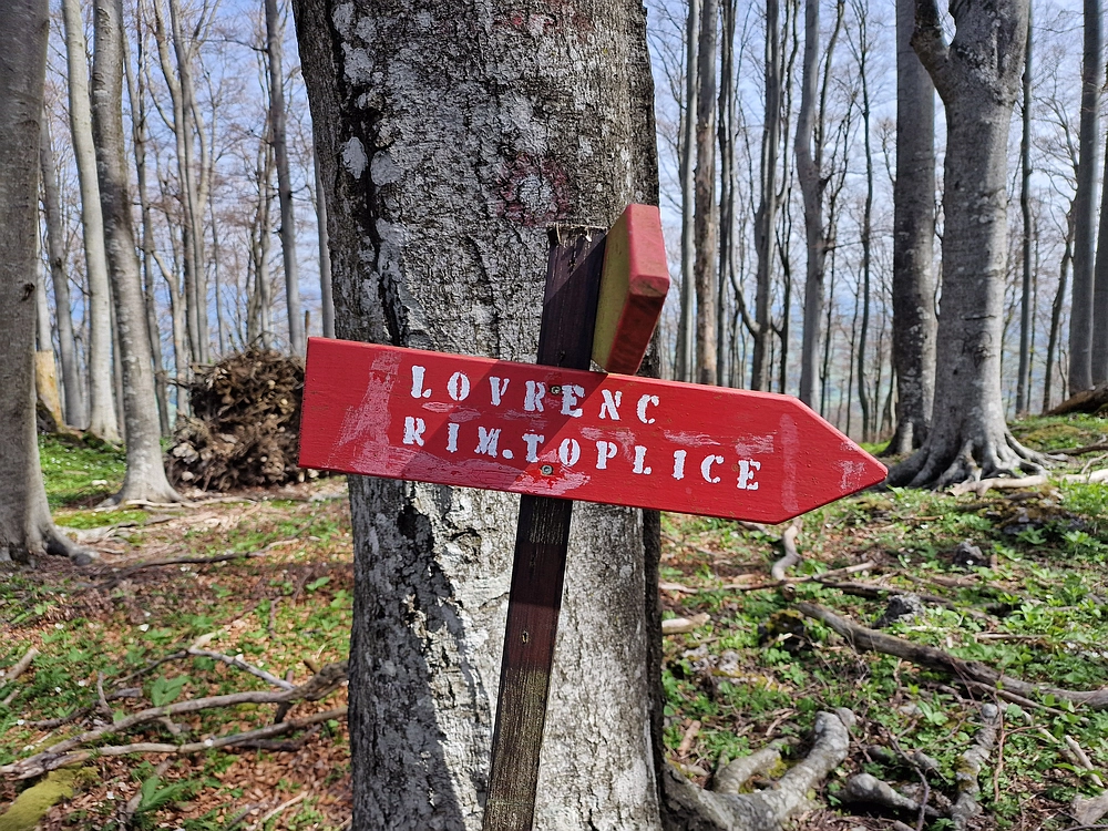 Slika je vidna v Google Chromu.