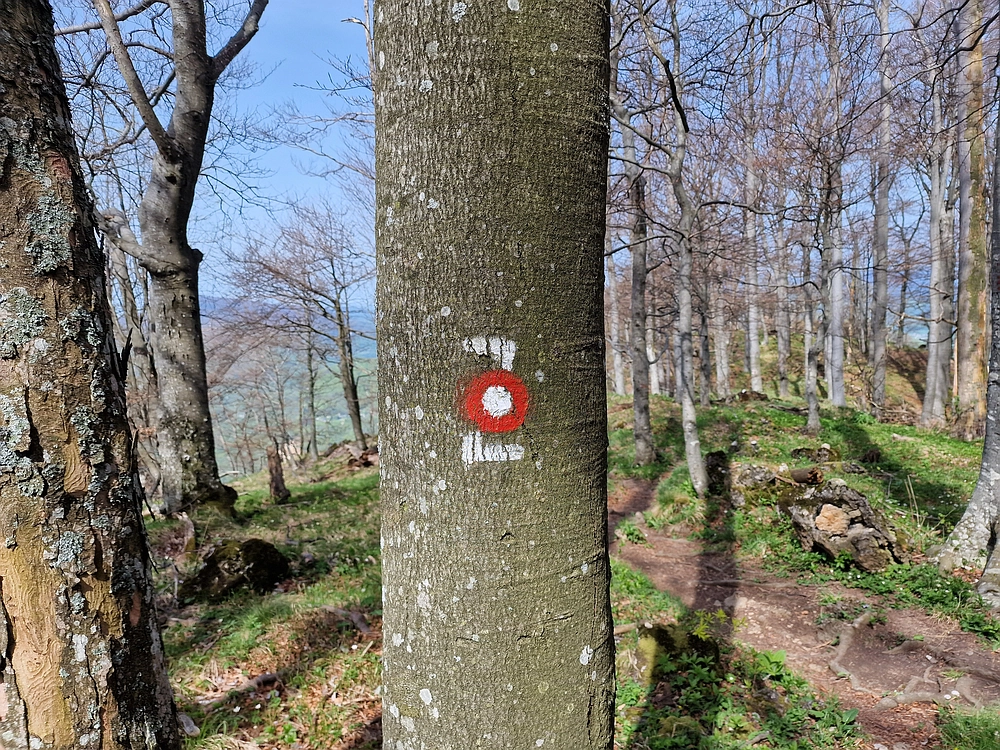 Slika je vidna v Google Chromu.